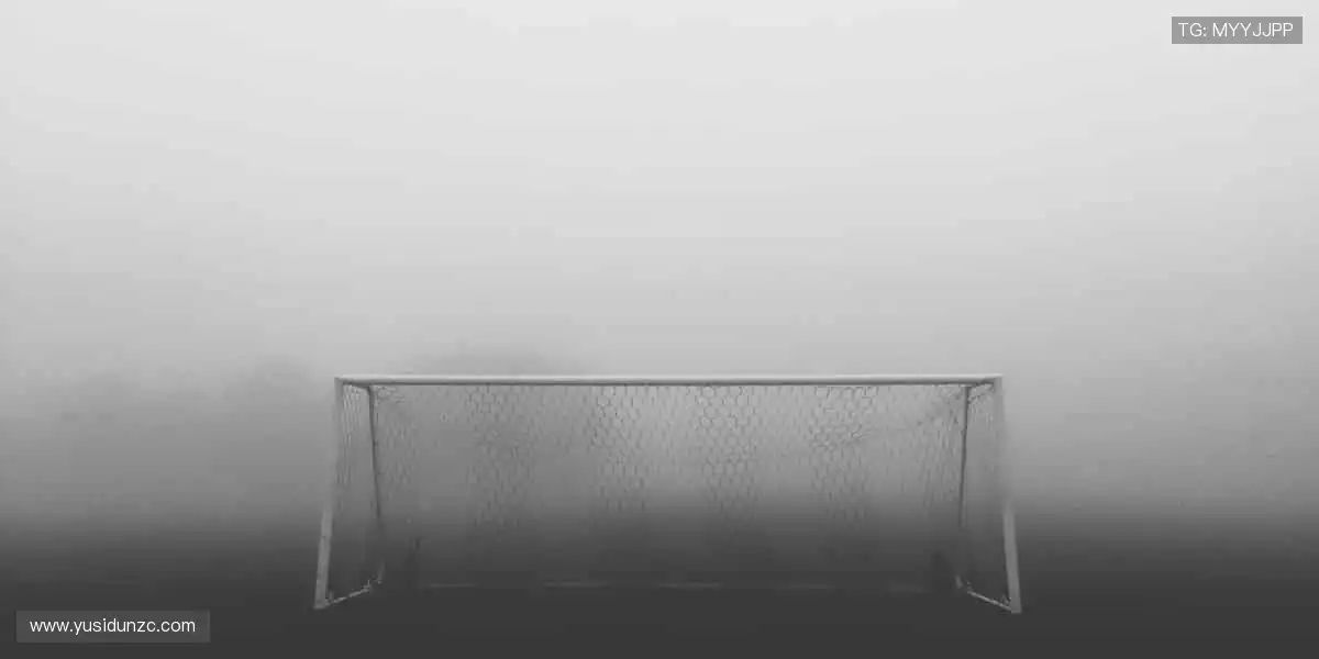 从现场到屏幕，从尖叫到欢呼！🌍🎥 我们始终与你的热爱同频共振！